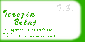 terezia brlaj business card